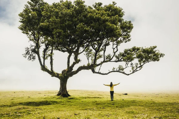 Gezgin Kadın Antik Bir Ormanda Doğanın Gücünü Hissediyor — Stok fotoğraf