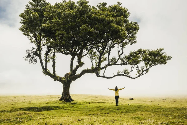 Mulher Viajante Sentindo Poder Natureza Uma Floresta Antiga — Fotografia de Stock