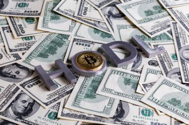 Hodl 'un alüminyum harflerle ve bitcoin parlatıcıyla ABD doları banknotlarına seçici bir odaklanma ile yazdığı kelimeler.