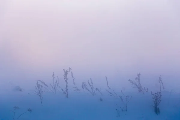 Fond de brouillard hivernal rêveur — Photo
