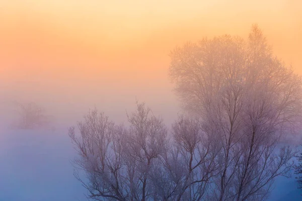 Fondo de niebla de invierno de ensueño — Foto de Stock