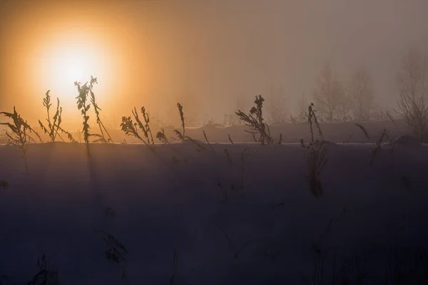 Verträumter Winternebel dunkler Hintergrund — Stockfoto