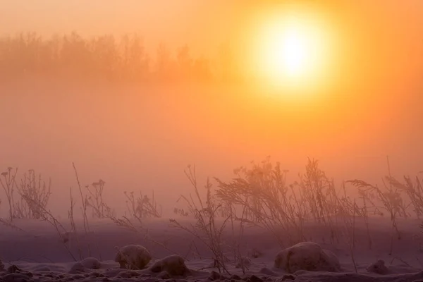 Verträumter Winternebel Hintergrund — Stockfoto