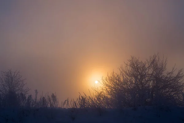 Niebla de invierno de ensueño fondo oscuro — Foto de Stock