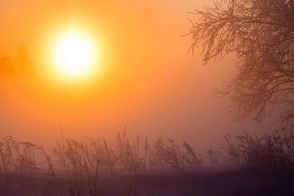 Verträumter Winternebel Hintergrund — Stockfoto