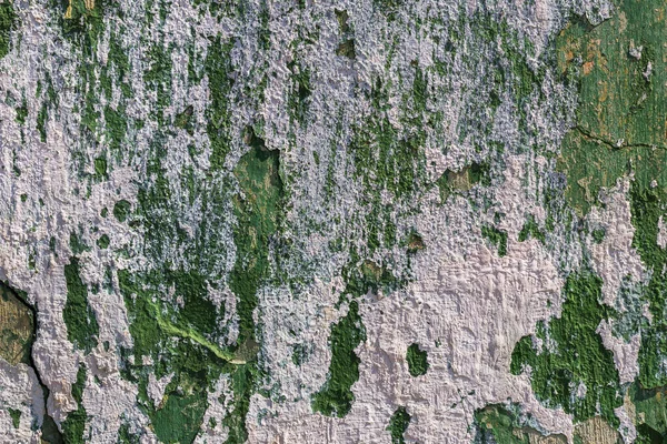 白绿色的旧墙体纹理 — 图库照片