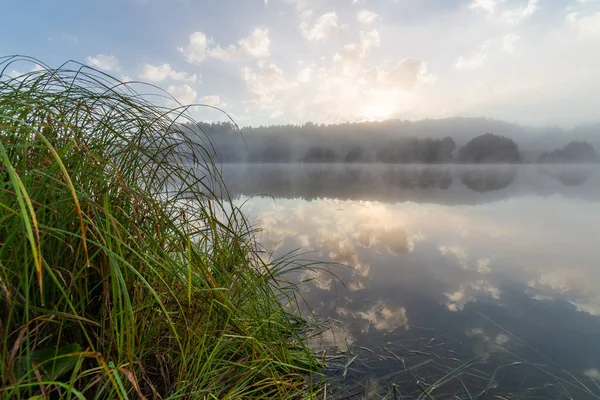Nevoeiro à beira do lago ao nascer do sol no verão europeu — Fotografia de Stock
