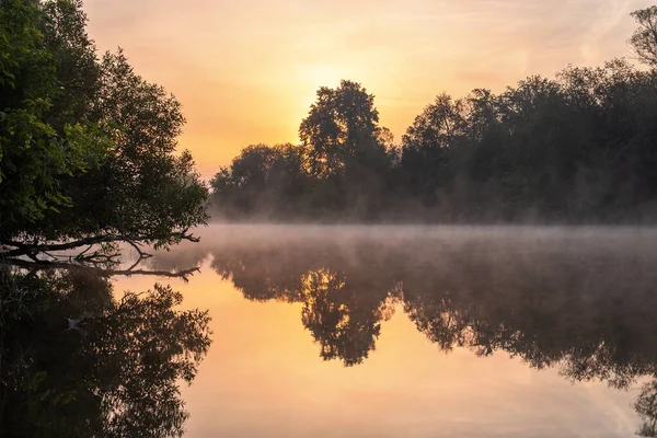 Nevoeiro flutuante no rio de verão com árvore sobre a água — Fotografia de Stock