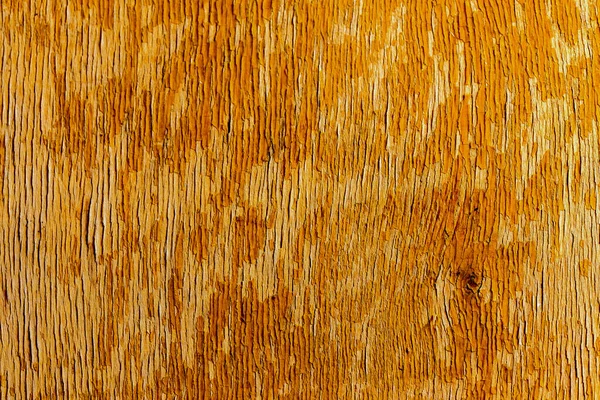 Old peeling flat overdryed lacquered plywood texture — Stock Photo, Image