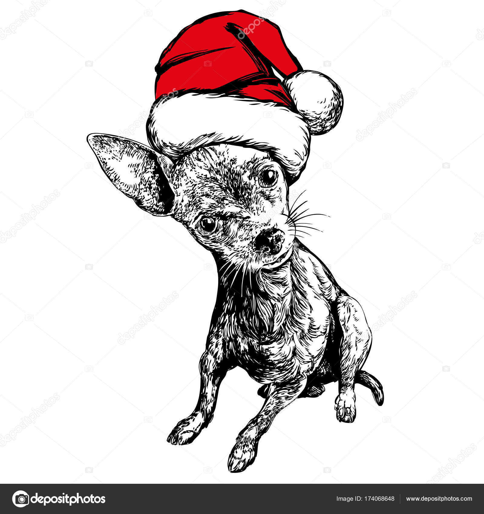 Dog In Santa Stocking Hat Santa Claus Christmas Symbol