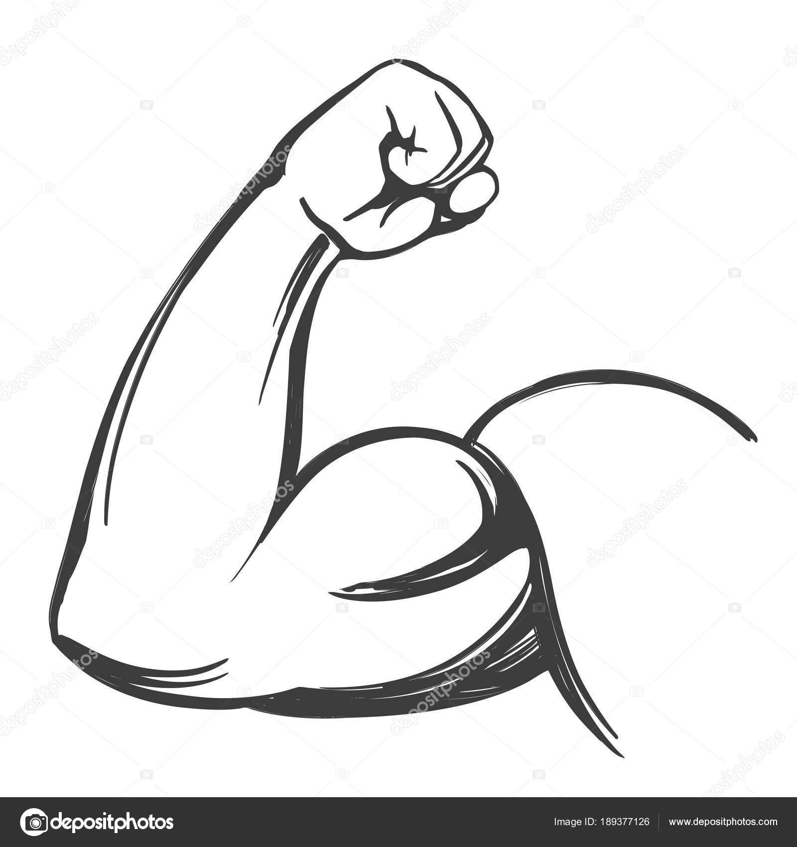 Arm Bicep Strong Hand Icon Cartoon Hand Drawn Vector Illustration Sketch Stock Vector Image By C Vladischern Arm Bicep Strong Hand Icon Cartoon Hand Drawn Vector Illustration Sketch Stock Vector Image By C Vladischern