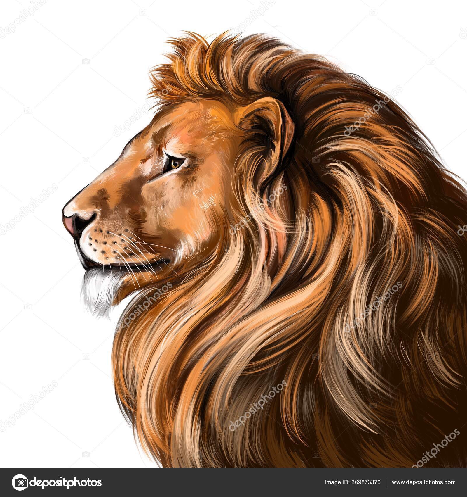 Animal Lion King Of Beasts Art Illustration Painted With Watercolors Isolated On White Background Stock Photo By C Vladischern