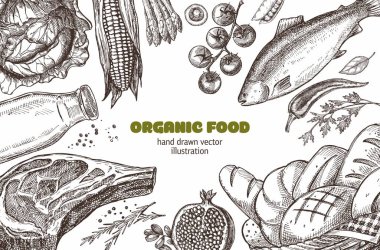 Çiftlik ürünlerinin çizimleri. Doğal ürünler: et, ekmek, süt, balık, lahana, domates. Dükkan ve kafelerin menüsü için tasarım.