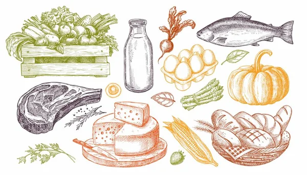 Reeks Illustraties Van Landbouwproducten Natuurlijke Producten Vlees Kaas Brood Melk — Stockvector