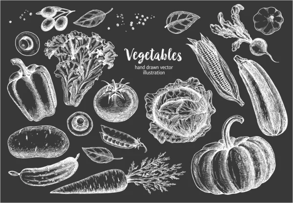 Встановіть Овочі Векторна Рука Намальована Старовинна Гравюрна Ілюстрація Плаката Етикетки — стоковий вектор