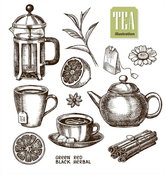Collection Hand Drawn Sketches Theme Tea — Stock Vector