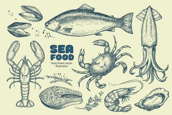 Морская Еда Набор Иллюстраций Оформления Меню Ресторанов Витрин Магазинов Рыбных Стоковая Иллюстрация