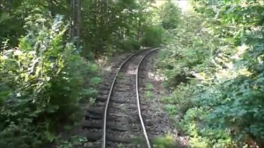 Ormanın içinden demiryolu