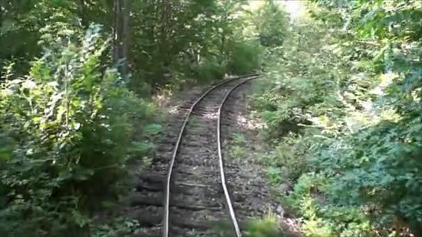 Железная дорога через лес — стоковое видео