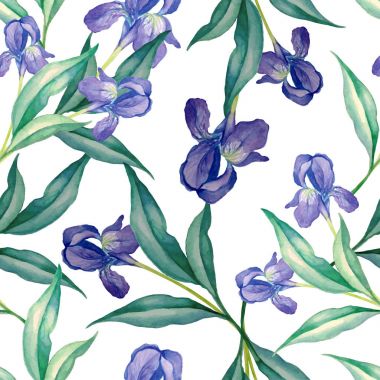 Iris seamless modeli suluboya tarzında