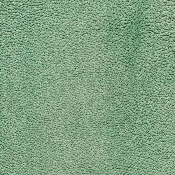 Menta Fondo Detallado Textura Cuero —  Fotos de Stock