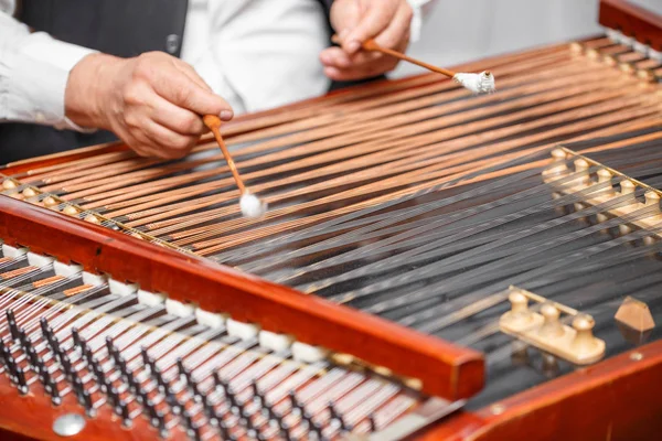 Traditionelles Musikinstrument — Stockfoto