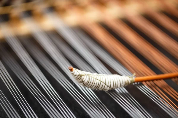 String Dulcimer et chauve-souris en bois — Photo