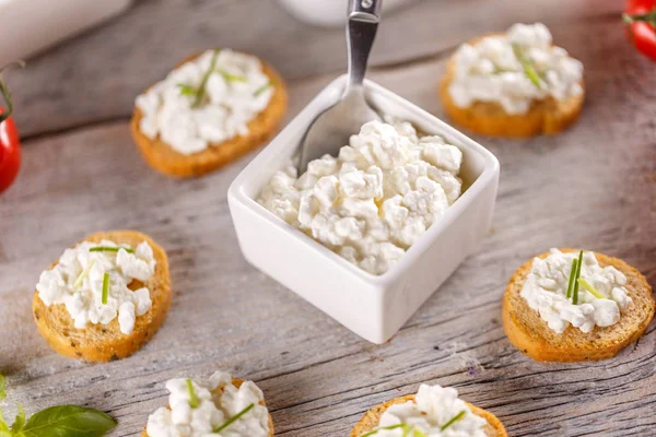 Pan rusks aperitivos tostados finos — Foto de Stock