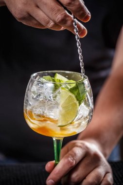 Barmen kokteyl karıştırma