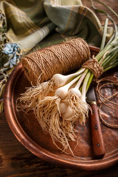 Bunch of fresh garlic — Stock Photo, Image