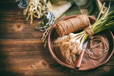 Yeşil sarımsak grup