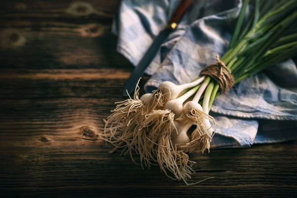 Verse groene knoflook — Stockfoto