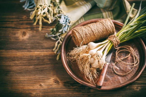 Grüner Knoblauchstrauß — Stockfoto