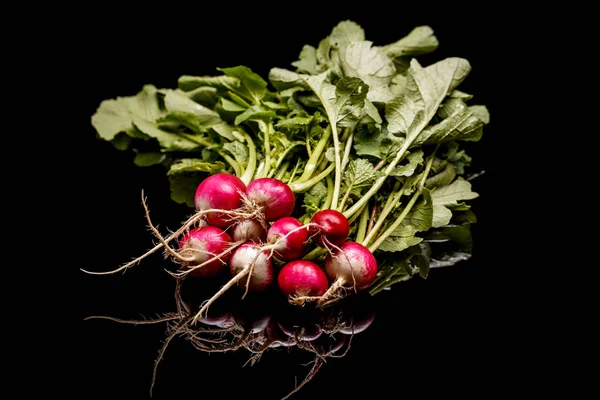 Small garden radish — Stock Photo, Image