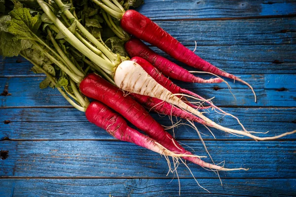 Bunch of radish — Stock Photo, Image