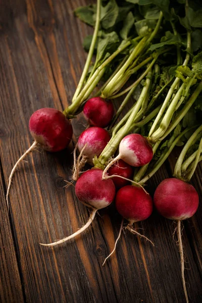 Freshly harvested red radishes — Stock Photo, Image