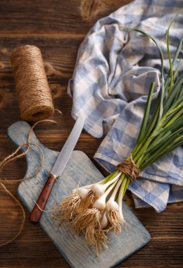 Bahar organik sarımsak