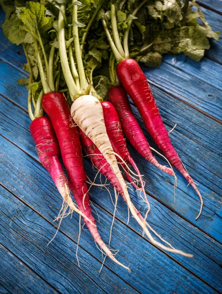 Bunch of fresh radish — Stock Photo, Image