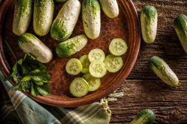 taze organik salatalık 