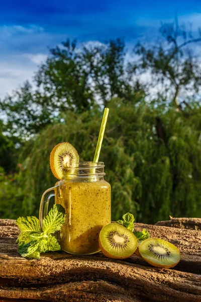 Fresh homemade kiwi smoothie — Stock Photo, Image