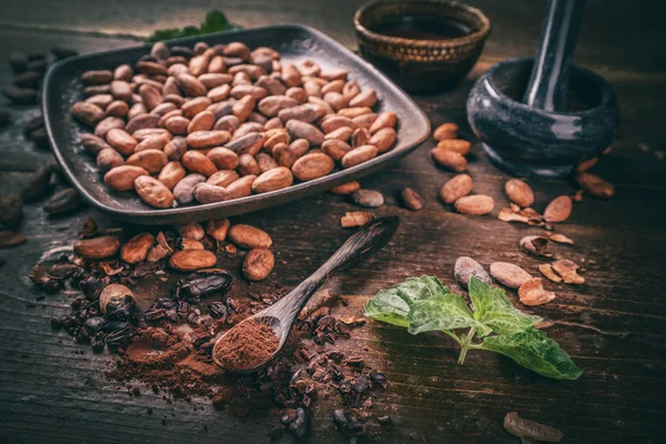 Granos de cacao y polvo de cacao — Foto de Stock