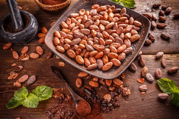 Granos de cacao orgánicos — Foto de Stock