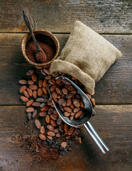 Organische cacao bonen — Stockfoto