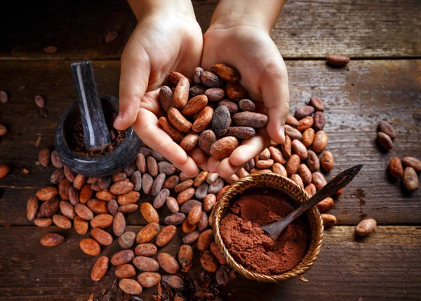 Granos de cacao tostados —  Fotos de Stock