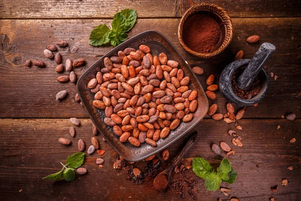 Biologisch cacaopoeder — Stockfoto