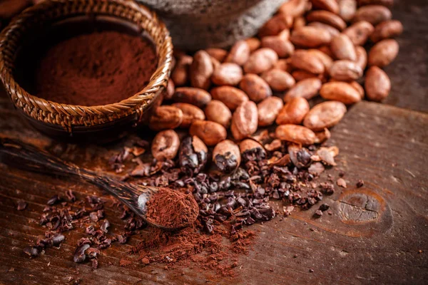 Fagioli di cacao biologici — Foto Stock
