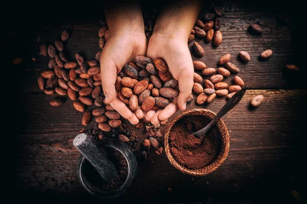 Mano sosteniendo granos de cacao — Foto de Stock