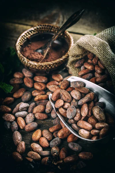 Geroosterde cacaobonen — Stockfoto
