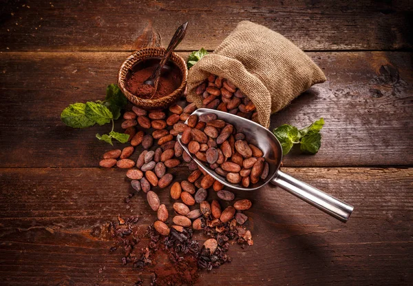 Biologische cacaobonen — Stockfoto