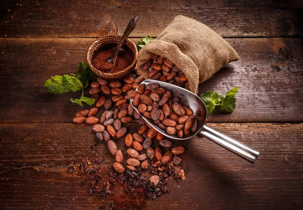 Fagioli di cacao biologici — Foto Stock